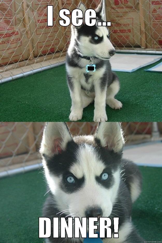 I SEE... DINNER! Insanity puppy