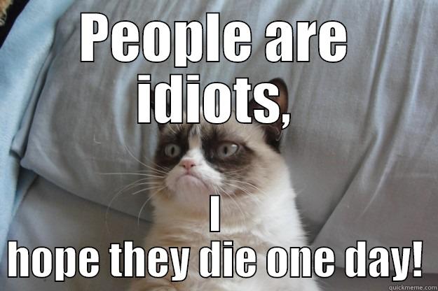 GRUMPY cat - PEOPLE ARE IDIOTS, I HOPE THEY DIE ONE DAY! Grumpy Cat