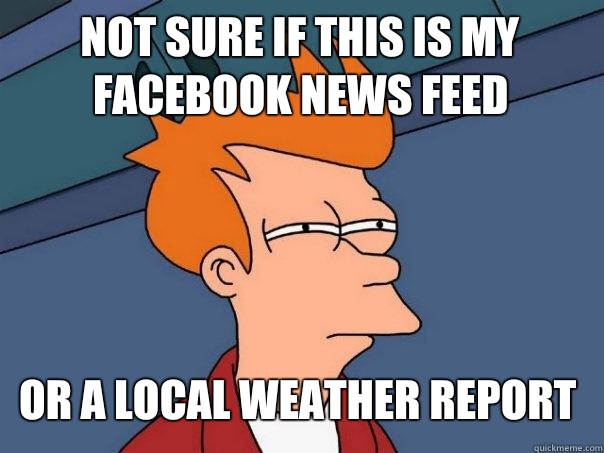 Not sure if this is my Facebook News Feed or a local weather report  Futurama Fry