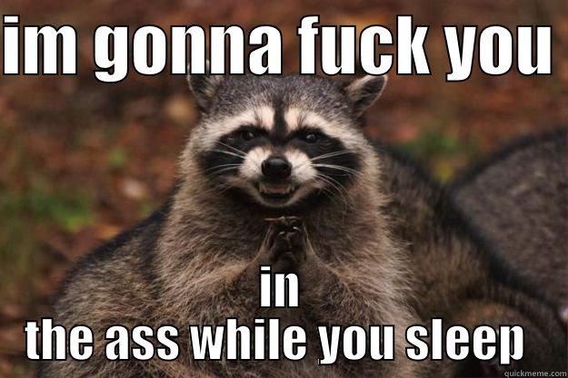 IM GONNA FUCK YOU  IN THE ASS WHILE YOU SLEEP  Evil Plotting Raccoon