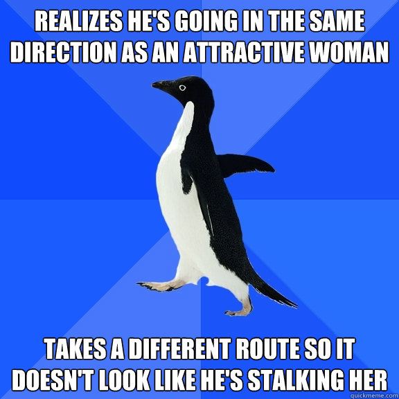 Realizes he's going in the same direction as an attractive woman Takes a different route so it doesn't look like he's stalking her  Socially Awkward Penguin