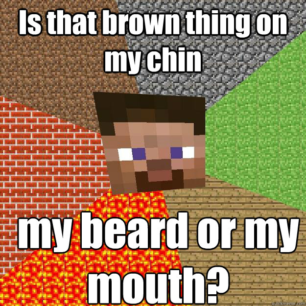 Is that brown thing on my chin my beard or my mouth?  Minecraft