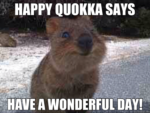 HAPPY QUOKKA SAYS HAVE A WONDERFUL DAY! - HAPPY QUOKKA SAYS HAVE A WONDERFUL DAY!  quokka