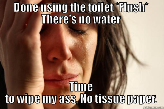 DONE USING THE TOILET *FLUSH* THERE'S NO WATER TIME TO WIPE MY ASS, NO TISSUE PAPER. First World Problems