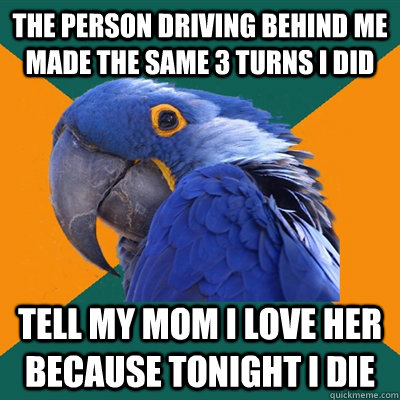 The person Driving behind me made the same 3 turns I did Tell my mom i love her because tonight i die  Paranoid Parrot