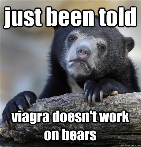 just been told viagra doesn't work on bears  Confession Bear