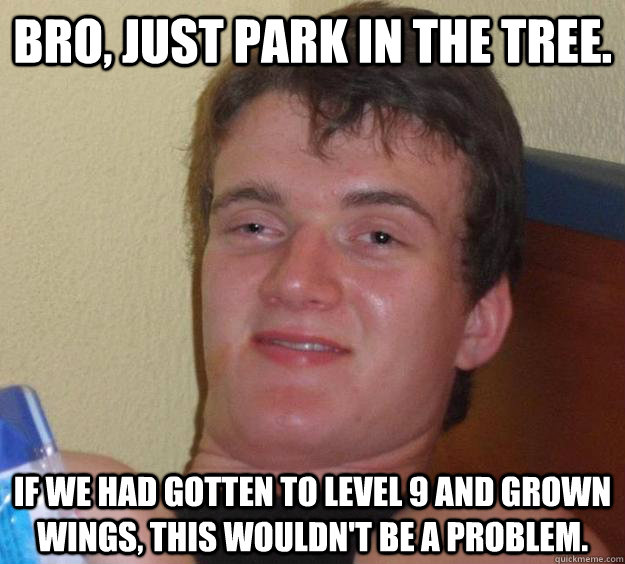 Bro, just park in the tree. If we had gotten to level 9 and grown wings, this wouldn't be a problem. - Bro, just park in the tree. If we had gotten to level 9 and grown wings, this wouldn't be a problem.  10 Guy