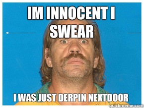 Im innocent i swear I was just derpin nextdoor  Meme