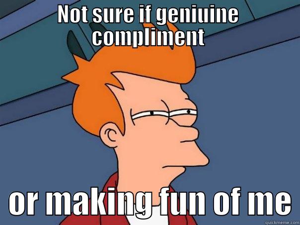 NOT SURE IF GENIUINE COMPLIMENT   OR MAKING FUN OF ME Futurama Fry