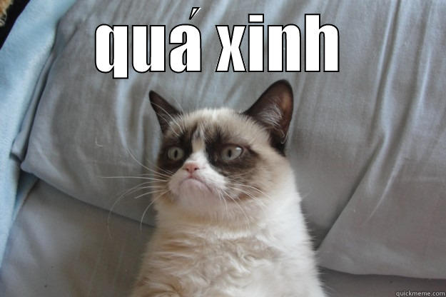 QUÁ XINH  Grumpy Cat