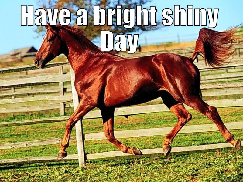 HAVE A BRIGHT SHINY DAY  Misc