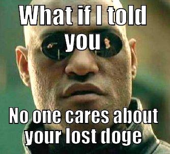 WHAT IF I TOLD YOU NO ONE CARES ABOUT YOUR LOST DOGE Matrix Morpheus