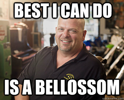 Best I can do Is a Bellossom  Pawn Stars