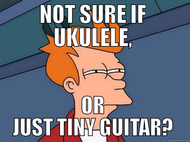 NOT SURE IF UKULELE, OR JUST TINY GUITAR? Futurama Fry