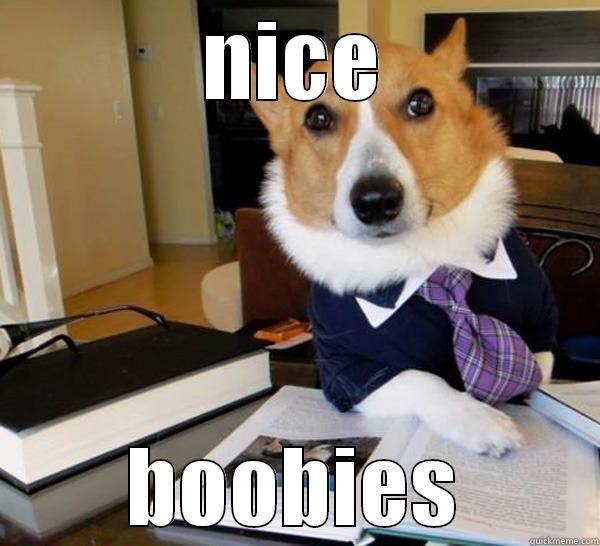 NICE BOOBIES Lawyer Dog