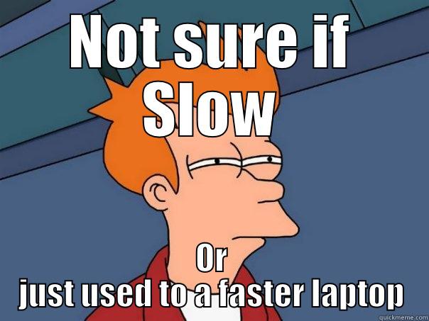 NOT SURE IF SLOW OR JUST USED TO A FASTER LAPTOP Futurama Fry