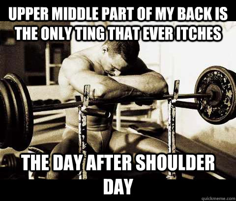 Upper middle part of my back is the only ting that ever itches The day after shoulder day  Bodybuilder Problems