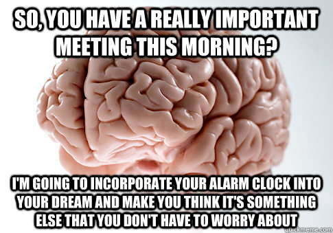 So, you have a really important meeting this morning? I'm going to incorporate your alarm clock into your dream and make you think it's something else that you don't have to worry about  Scumbag Brain