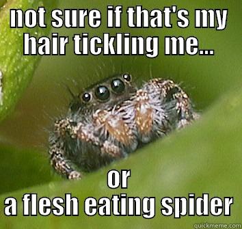 NOT SURE IF THAT'S MY HAIR TICKLING ME... OR A FLESH EATING SPIDER Misunderstood Spider