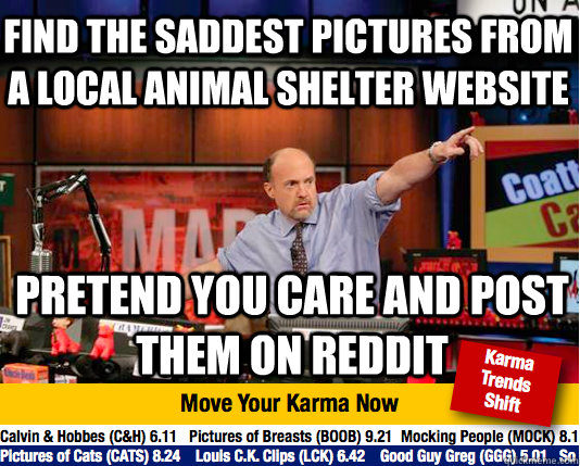 FInd the saddest pictures from a local animal shelter website Pretend you care and post them on reddit  Mad Karma with Jim Cramer