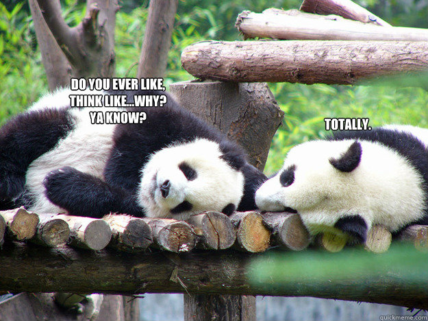 Do you ever like,
think like...Why?
Ya know? Totally.  Super High Pandas