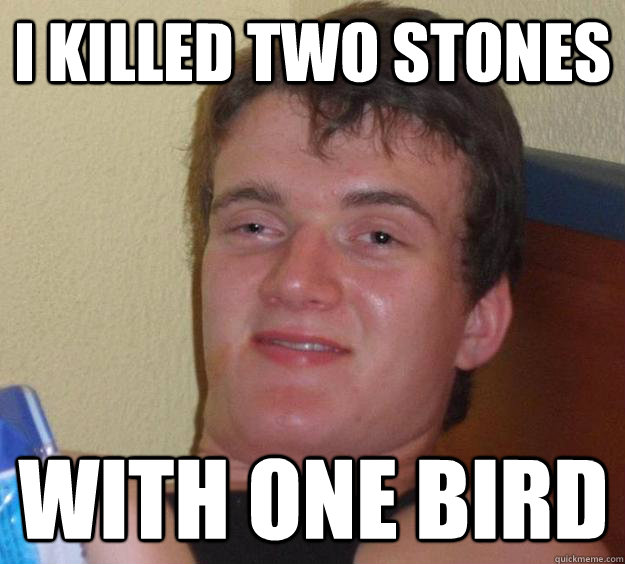 I killed two stones with one bird - I killed two stones with one bird  10 Guy