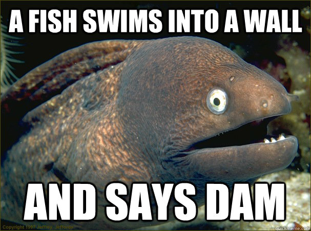 A fish swims into a wall And says dam - A fish swims into a wall And says dam  Bad Joke Eel