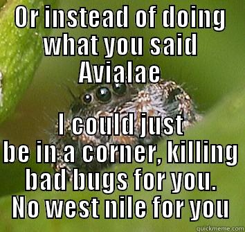 OR INSTEAD OF DOING WHAT YOU SAID AVIALAE I COULD JUST BE IN A CORNER, KILLING BAD BUGS FOR YOU. NO WEST NILE FOR YOU Misunderstood Spider