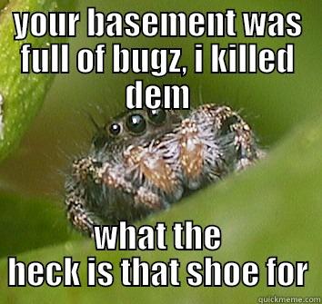 YOUR BASEMENT WAS FULL OF BUGZ, I KILLED DEM WHAT THE HECK IS THAT SHOE FOR Misunderstood Spider