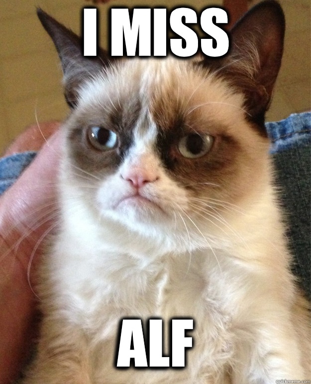 I miss Alf  Grumpy Cat