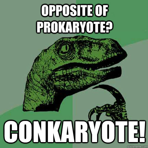 Opposite of prokaryote? Conkaryote! - Opposite of prokaryote? Conkaryote!  Philosoraptor