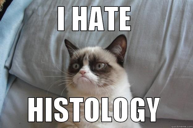 Histology 101 - I HATE HISTOLOGY Grumpy Cat