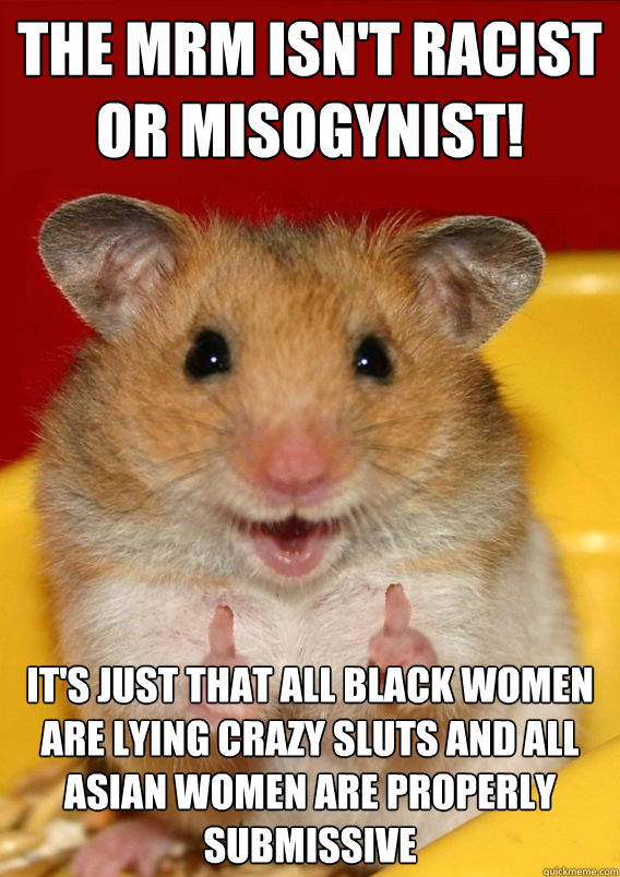 The MRM isn't racist or misogynist! It's just that all black women are lying crazy sluts and all Asian women are properly submissive  - The MRM isn't racist or misogynist! It's just that all black women are lying crazy sluts and all Asian women are properly submissive   Rationalization Hamster