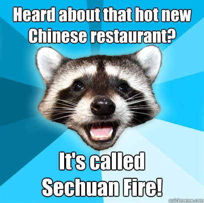 Heard about that hot new Chinese restaurant? It's called
Sechuan Fire!  Lame Pun Coon