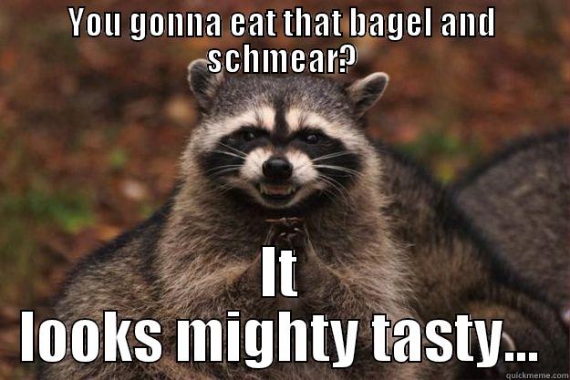 YOU GONNA EAT THAT BAGEL AND SCHMEAR? IT LOOKS MIGHTY TASTY... Evil Plotting Raccoon