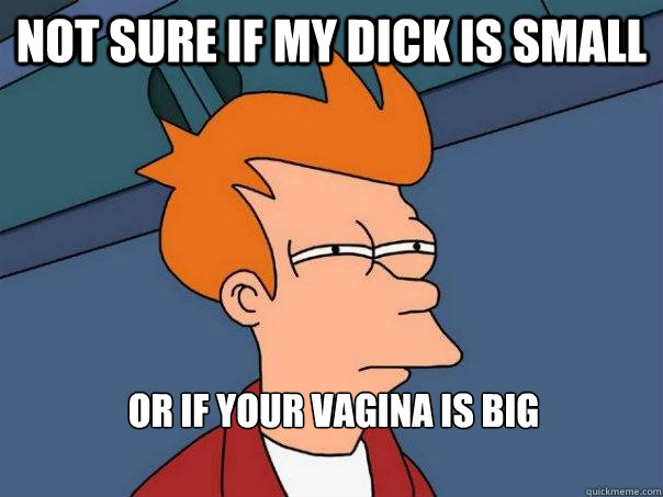 NOT SURE IF MY DICK IS SMALL OR IF YOUR VAGINA IS BIG  Futurama Fry