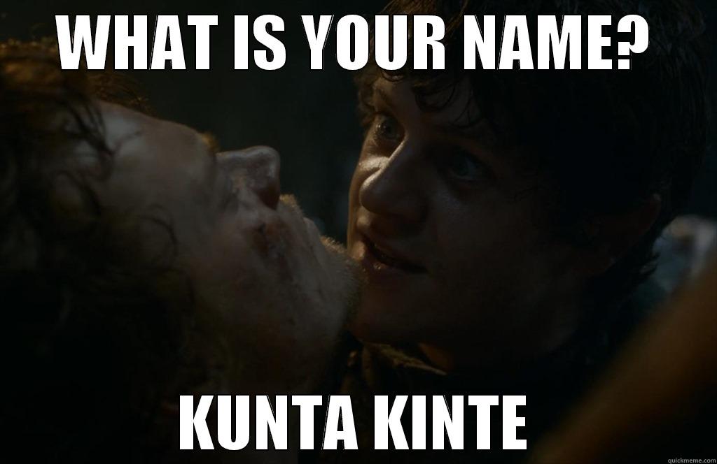 WHAT IS YOUR NAME? KUNTA KINTE Misc