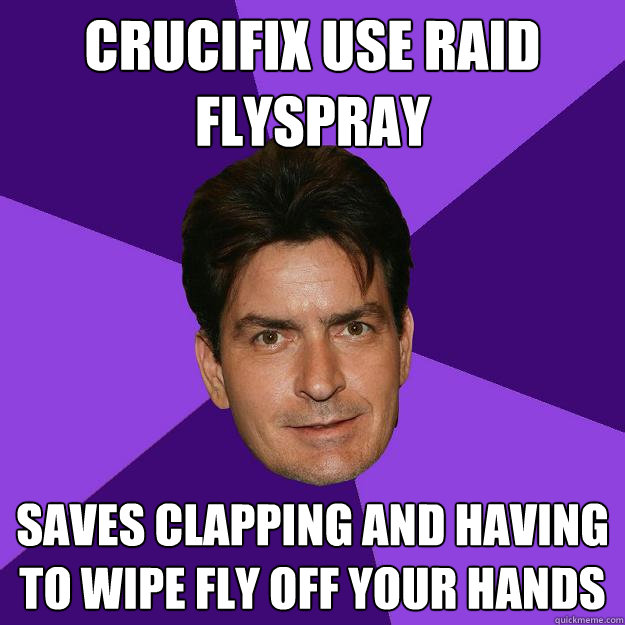 crucifix use raid flyspray saves clapping and having to wipe fly off your hands - crucifix use raid flyspray saves clapping and having to wipe fly off your hands  Clean Sheen