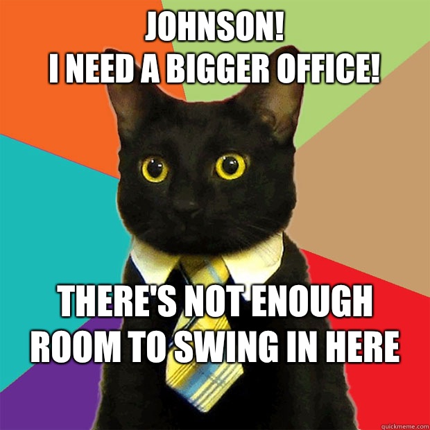 johnson!
 I need a bigger office! There's not enough
 room to swing in here  Business Cat