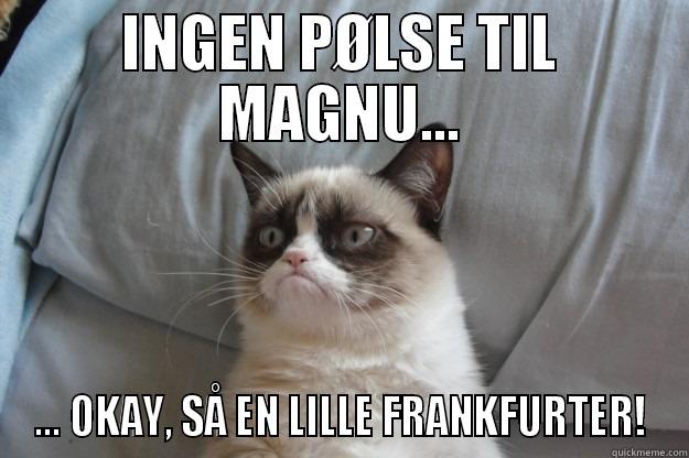 Nej vent okay - INGEN PØLSE TIL MAGNU... ... OKAY, SÅ EN LILLE FRANKFURTER! Grumpy Cat