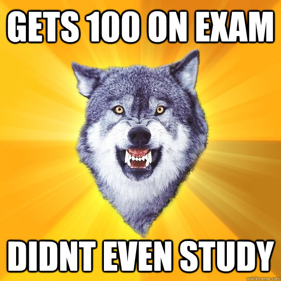 Gets 100 on exam Didnt Even Study  Courage Wolf