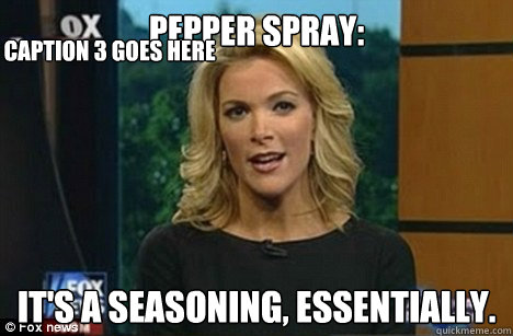 Pepper Spray: It's a seasoning, essentially. Caption 3 goes here  Megyn Kelly