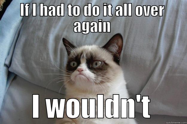 IF I HAD TO DO IT ALL OVER AGAIN I WOULDN'T Grumpy Cat