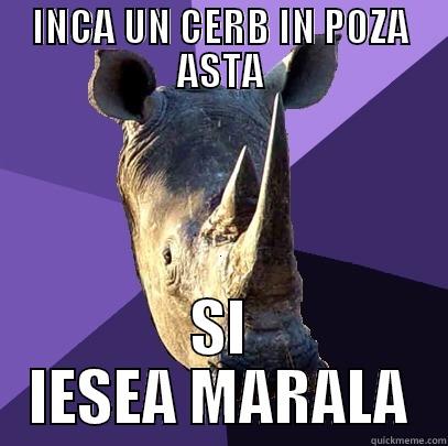 funny funny - INCA UN CERB IN POZA ASTA SI IESEA MARALA Sexually Oblivious Rhino