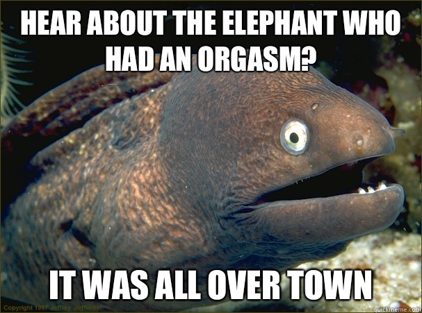 hear about the elephant who had an orgasm? It was all over town - hear about the elephant who had an orgasm? It was all over town  Bad Joke Eel