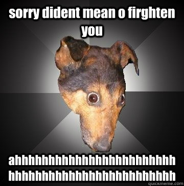 sorry dident mean o firghten you ahhhhhhhhhhhhhhhhhhhhhhhhhhhhhhhhhhhhhhhhhhhhhhhhh  Depression Dog