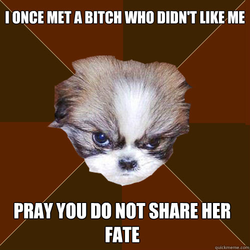 i once met a bitch who didn't like me pray you do not share her fate - i once met a bitch who didn't like me pray you do not share her fate  Angry