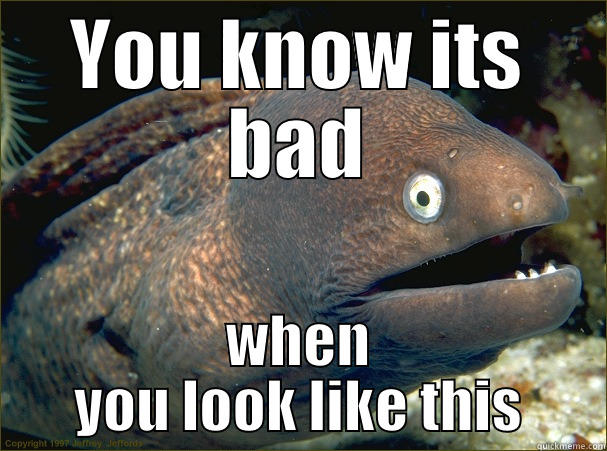 YOU KNOW ITS BAD WHEN YOU LOOK LIKE THIS Bad Joke Eel