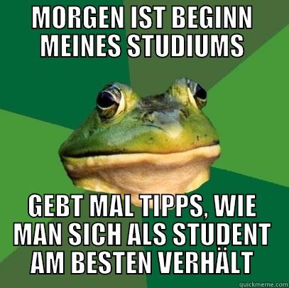 MORGEN IST BEGINN MEINES STUDIUMS GEBT MAL TIPPS, WIE MAN SICH ALS STUDENT AM BESTEN VERHÄLT Foul Bachelor Frog