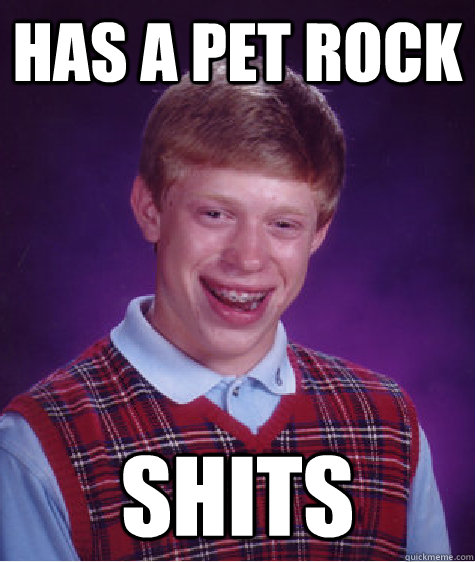 Has a Pet rock Shits  Bad Luck Brian